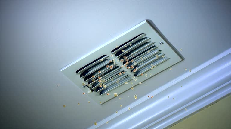 Best Dryer Vent Cleaning Services  in Pine Ridge, SD